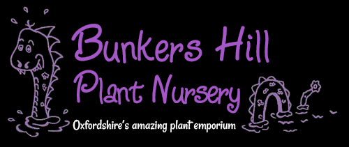 Bunkers Hill Plant Nursery